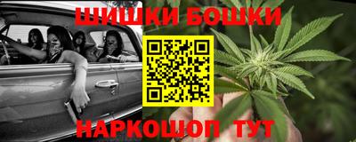 крисы Рузаевка